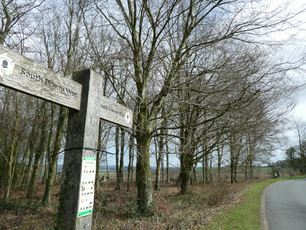 A wooden signpost against bare trees on a quiet road. Both arms point to the South Downs Way.