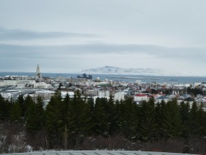 The view from the viewing deck at Perlan. In the distance is a snow-streaked mountain across a deep blue bay. In the middle is Reykjavik, with a lot of white buildings, colourful roofs and low buildings, except Hallgrimskirkja off to the left. In the foreground is a line of dark green pine trees growing around the hill Perlan stands on.