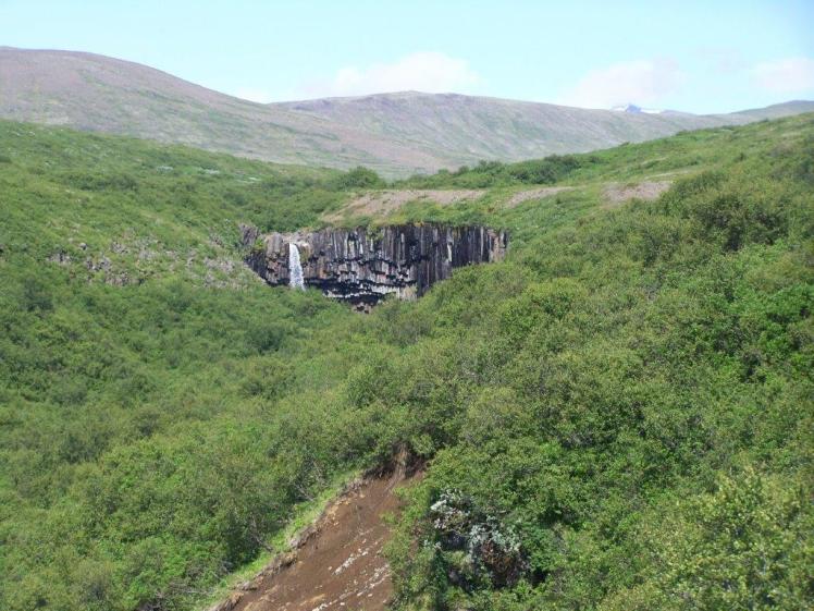 Svartifoss from a distance
