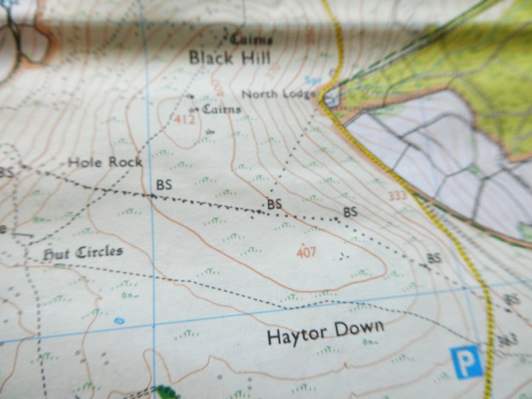 A line of black dots crossing Haytor Down, marked periodically with boundary stones.