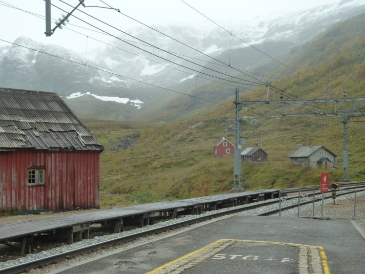 Myrdal station in the mist