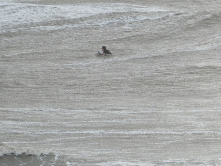 A surfer amid the grey waves.