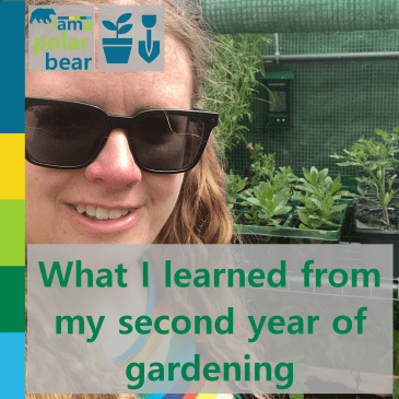 What I learned from my second year of gardening | iamapolarbear.com