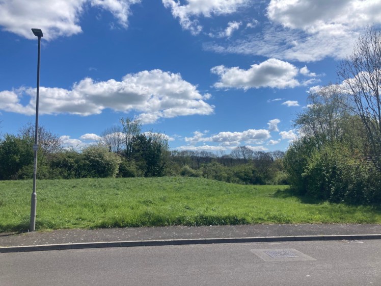 A small area of woodland, shrubs and reasonably neat grass, kept mostly for dog walking.
