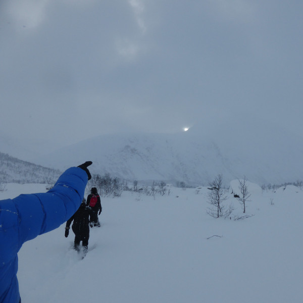 33378412655_337d44d9b4_k