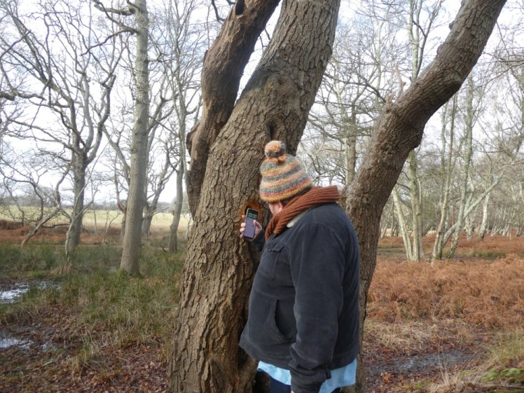 Tom, with his back to the camera, looking into a hole in a tree with the light on his phone.