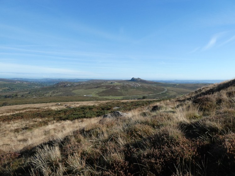 The view across Saddle Tor and Haytor from halfway up the north side of Rippon Tor. It's all very grassy and the grass on Rippon Tor is quite yellow.