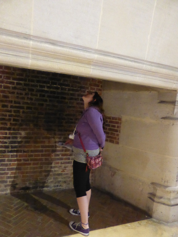 My Dear Sister looking up a huge chimney