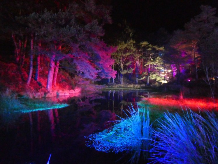 A flooded clay pit surrounded by trees which are mostly lit in pinks, reds and purples. Lower down, the shrubs around the edges of the water are illuminated in blue and green. The water itself is black and reflective.