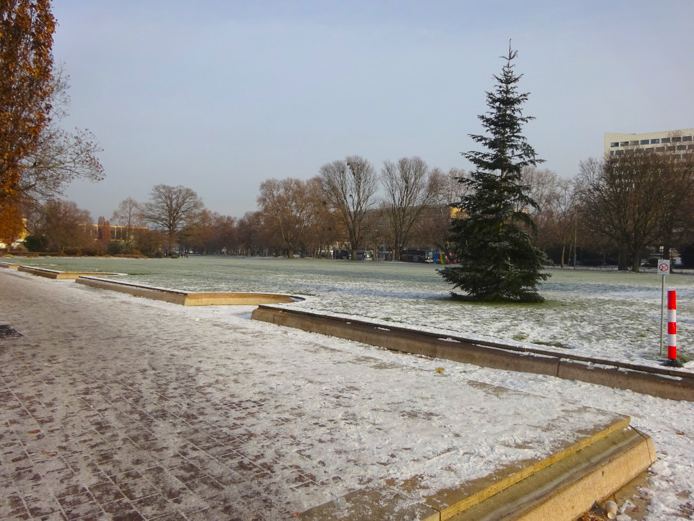 A frozen park with yellow sandstone edging and a nice fir tree in the middle and the ground covered in thick crunchy snow-frost.