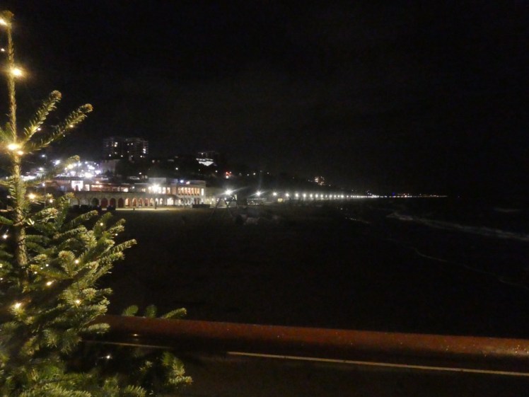 A Christmas tree lit with white lights on the edge of the pier. You can't see the sea because it's dark but you can see lights along the seafront.