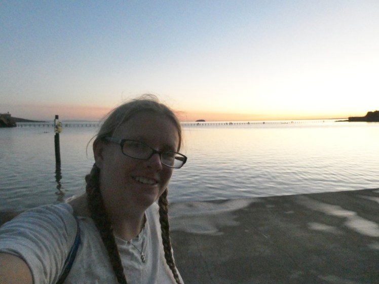 A selfie in a grey t-shirt on the side of the lake, with the remains of sunset behind me. It's dark enough that I'm a little silhouetted.