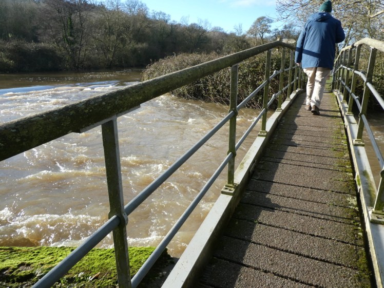 The stepped weir/fish ladder in January
