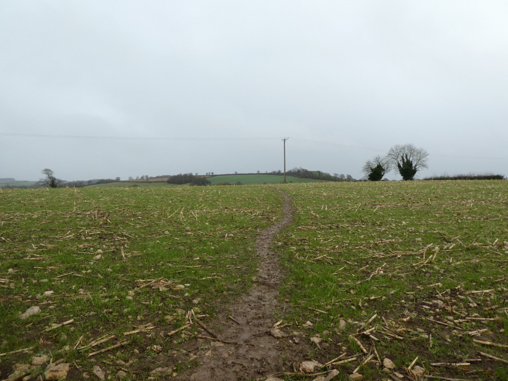 Walking across the muddy field
