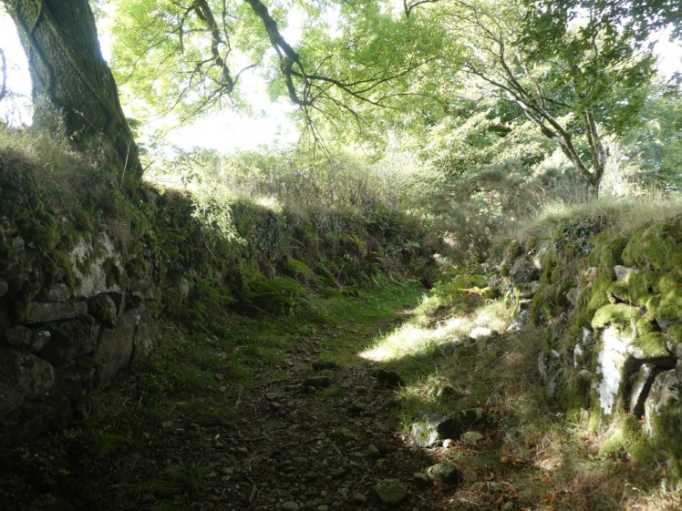 A very stony path with ancient stone walls on each side and trees growing up through the walls. The sun is coming through the trees in a very pretty way.
