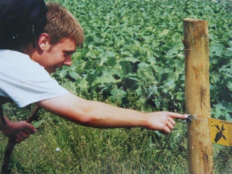 Poking the electric fence