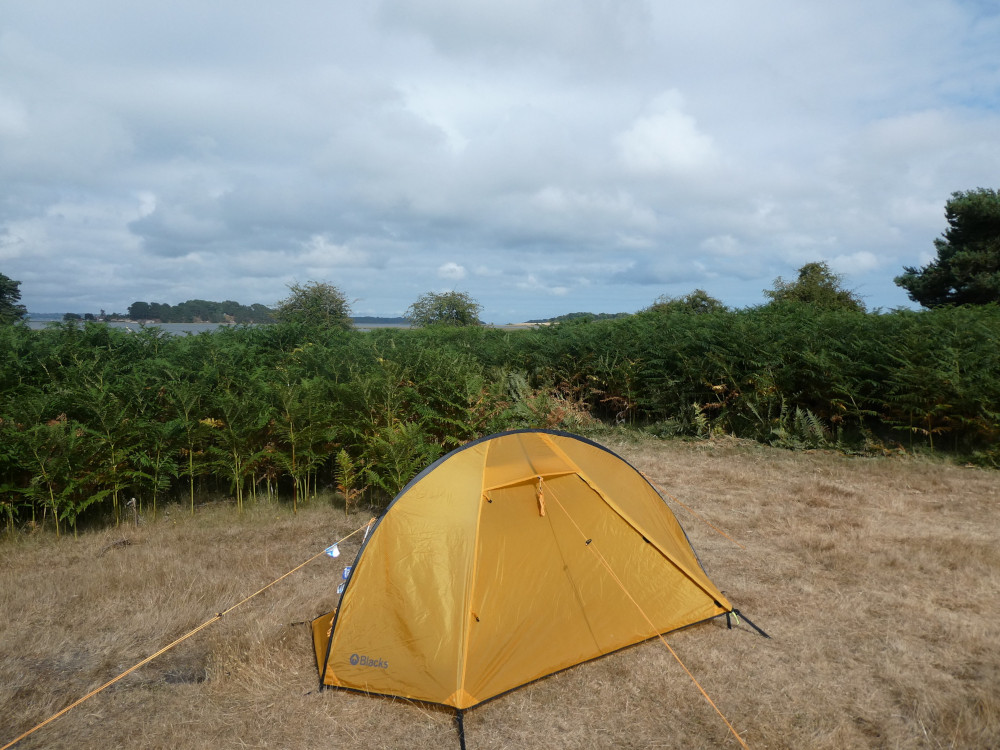 A small yellow tent made for one, pitched in front of some ferns on some very yellow dry grass. In the background, you can make out water and some pine-covered islands.