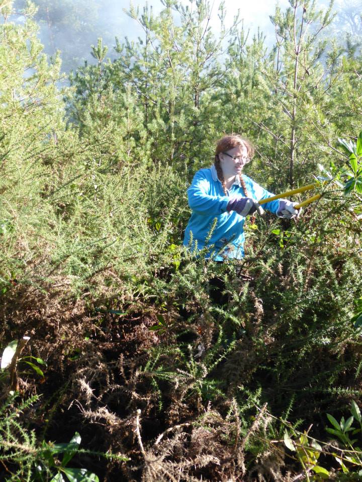 Girlguiding conservation day