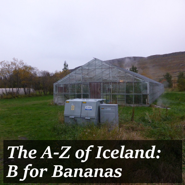 The A-Z of Iceland: B for Bananas title pic