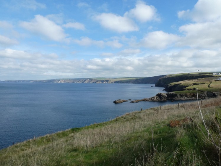 The coast east of Port Isaac