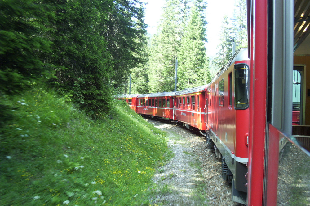 A train of red carriages going round a sharp bend in some very green woods. The bank is grassy and beautiful and only about two feet from the side of the train. The photo is taken from an open carriage window in direction of travel.