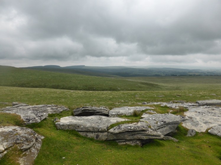 dartmoor3.jpg