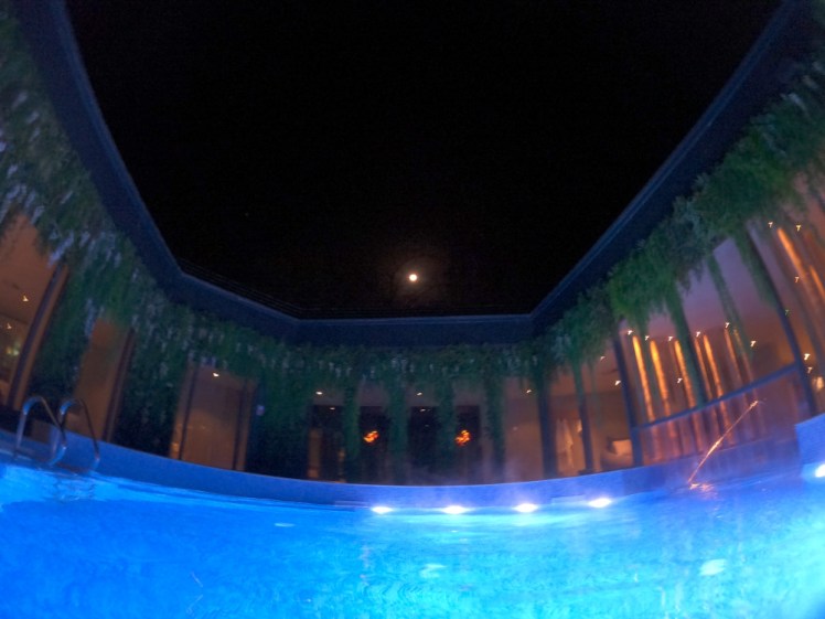 The central pool, tiled in bright blue and lit by underwater lights. It's surrounded by glass walls which have fake foliage trailing from them. Above is the open sky and the full moon.