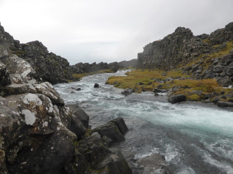Þingvellir in the rain