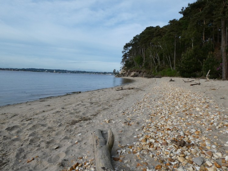A narrow beach backed by pine trees, part golden sand, part stone and part broken pottery. The sea is calm and blue, reflecting the dimming early evening sky.