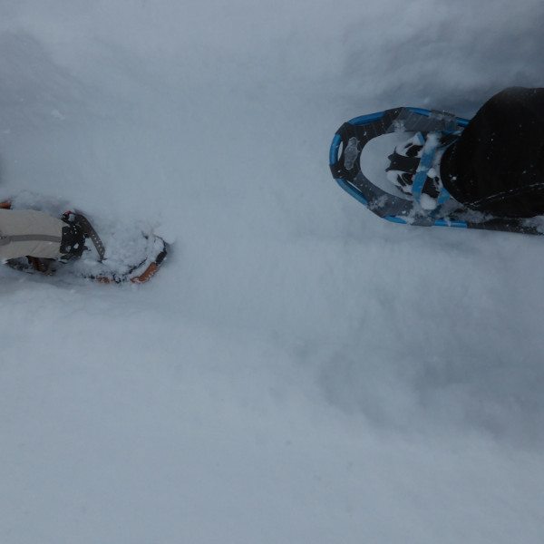 32535761344_4a6d4347ac_k