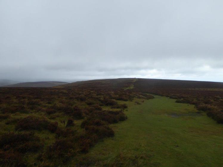 Hameldown ridge heading north, with Hameldown Tor just visible on the horizon
