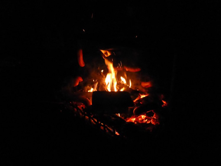 Toasting sausages over a fire