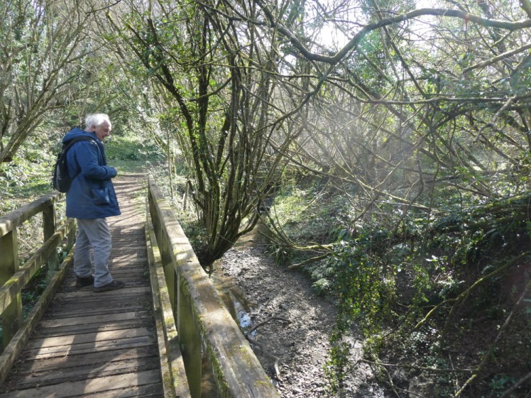 Dad in the woods east of Glue Hill