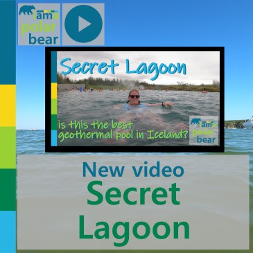 New video: Secret Lagoon - is this the best geothermal pool in Iceland? | iamapolarbear.com