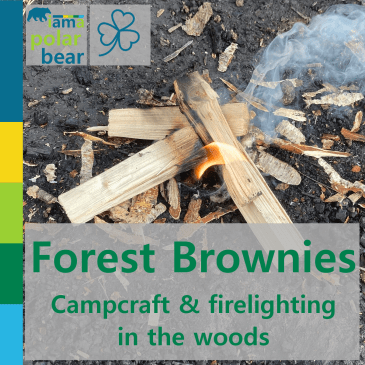 Forest Brownies: campcraft & firelighting in the woods | iamapolarbear.com