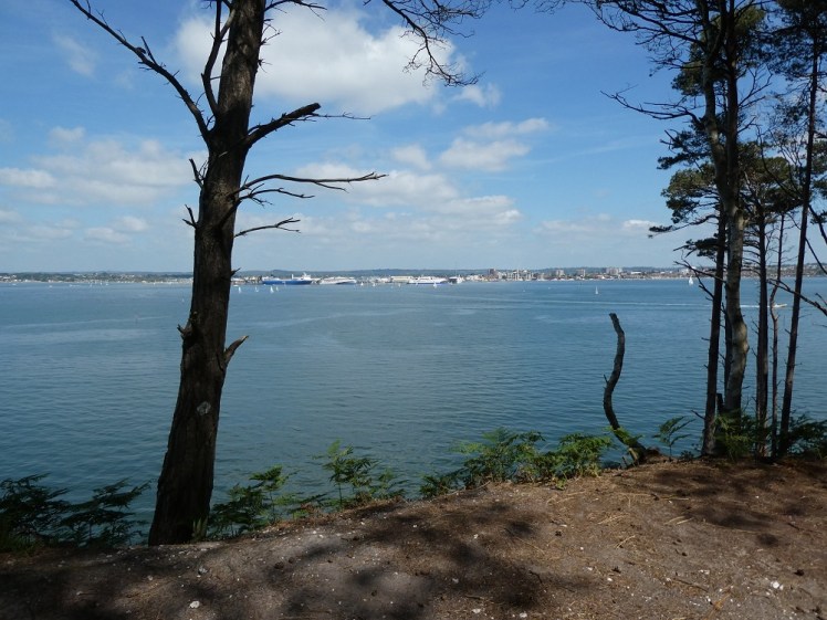 Looking through the trees towards Poole Quay