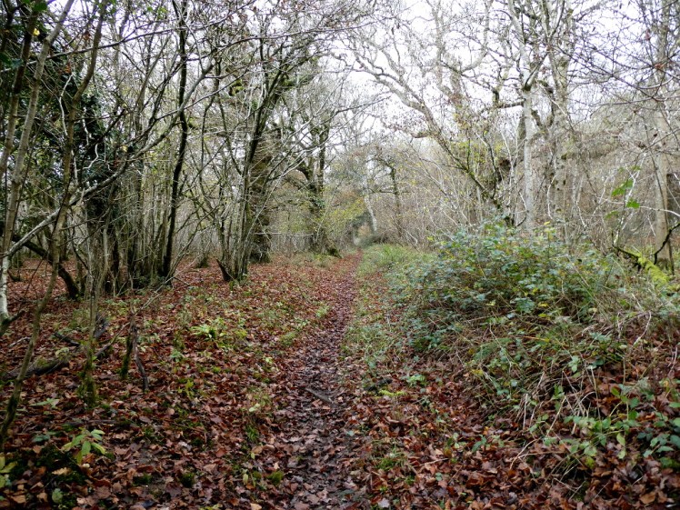 The most uninviting path yet