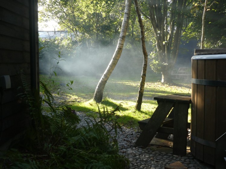 The garden from my seat behind the hot tub