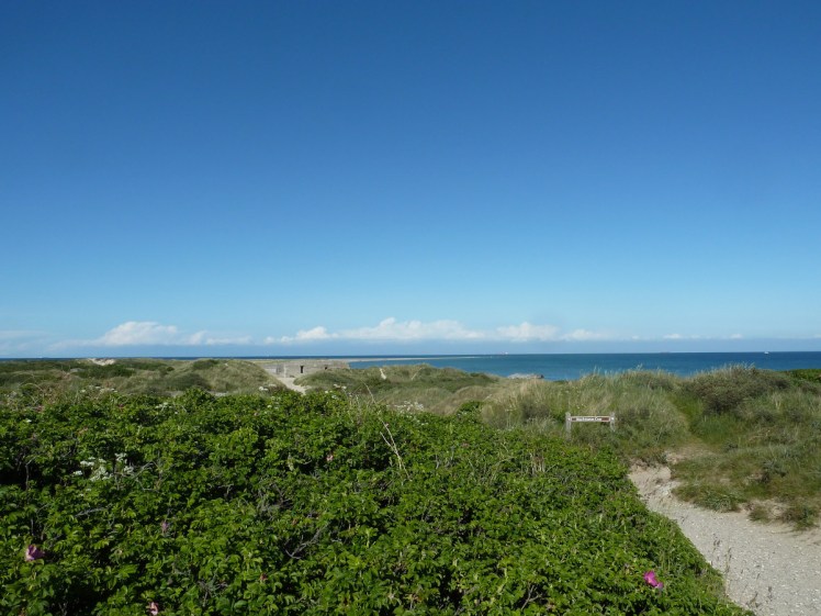 Grenen beach across the dunes from the road