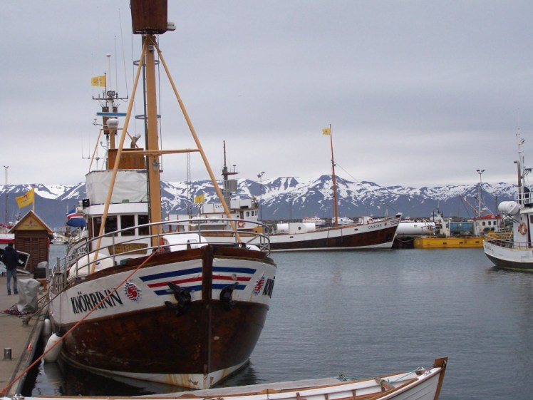 Husavik harbour, a harbour full of traditional boats with a background of a long snow-dotted mountain range.