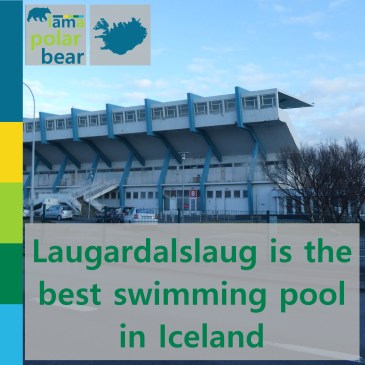 Laugardalslaug is the best swimming pool in Iceland | iamapolarbear.com