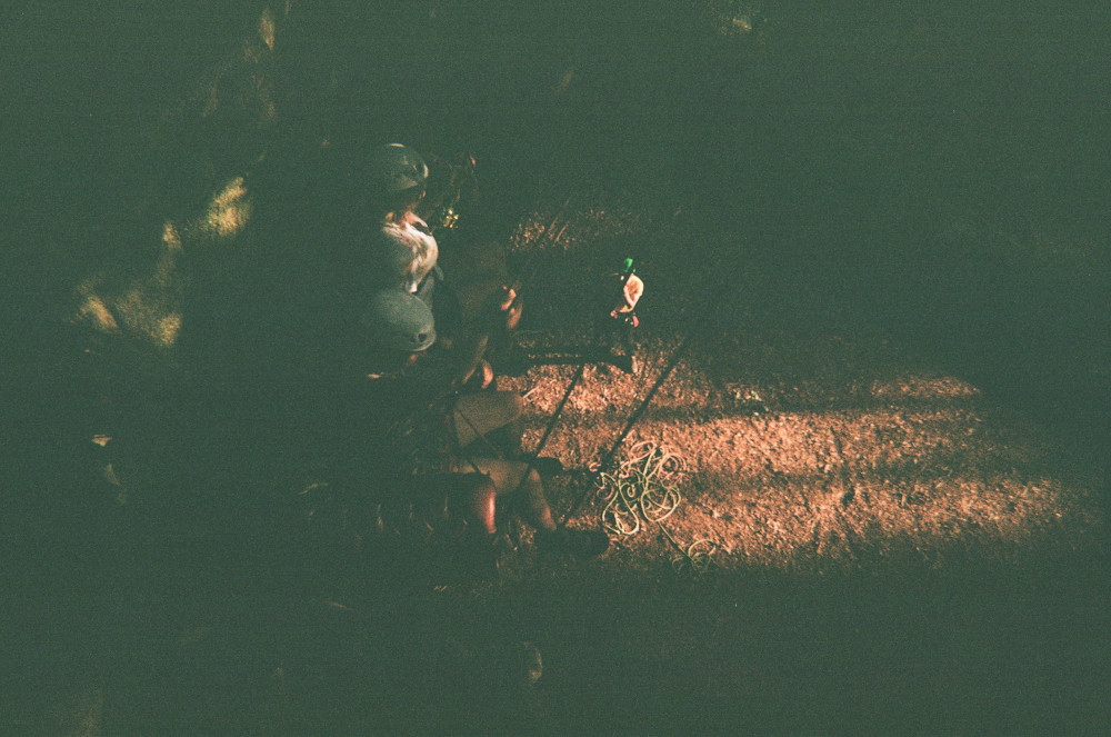 A picture taken down through the tree, to bright sunlight on the leaf litter on the floor. If you look carefully on the left, you'll see two people sitting in a sofa suspended from the tree.