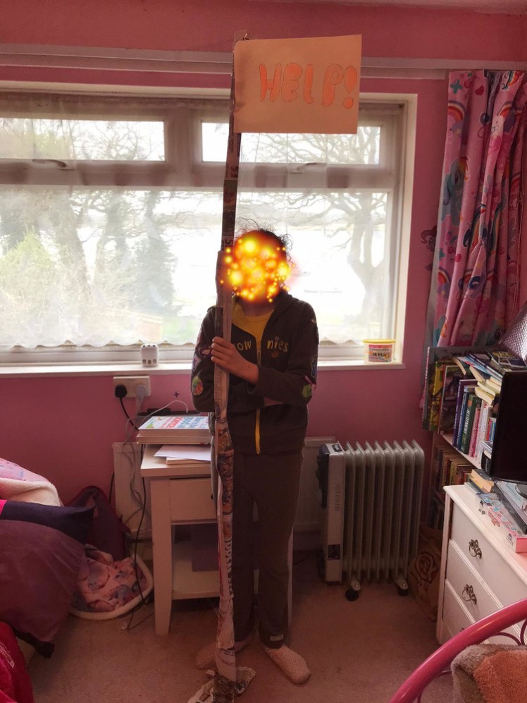 My Brownie, with stars over her face again, holding up a newspaper flagpole much taller than her. There's a flag on the top with HELP! in pink letters.