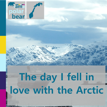 The day I fell in love with the Arctic | iamapolarbear.com