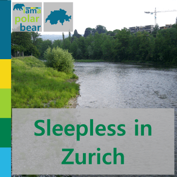 Sleepless in Zurich | iamapolarbear.com