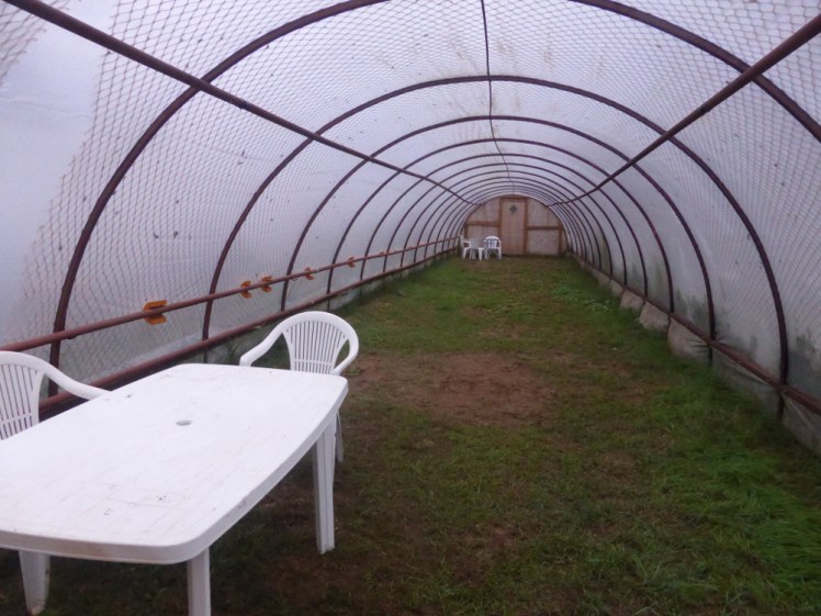 Greenhouse camping in west Iceland
