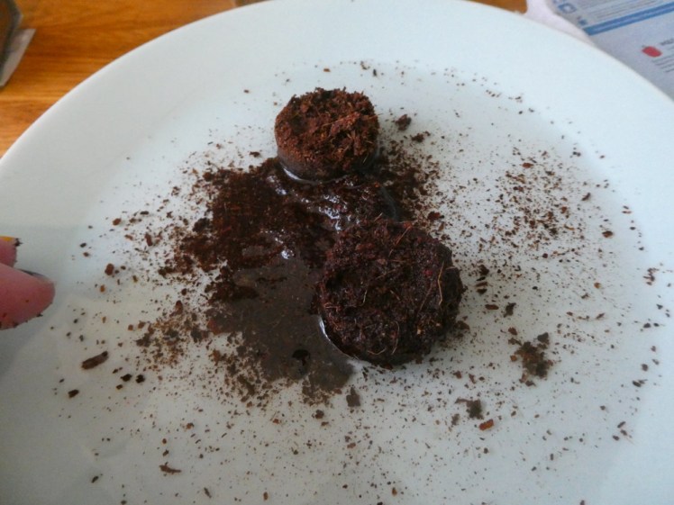 The soil pellet being rehydrated