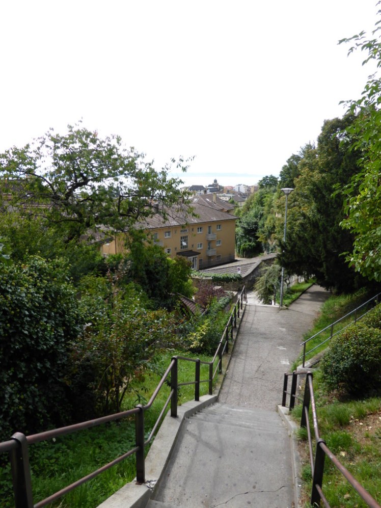 The path that leads down from Neuchatel station to the town. It's a concrete path with steps winding its way down through trees towards yellow sandstone buildings.