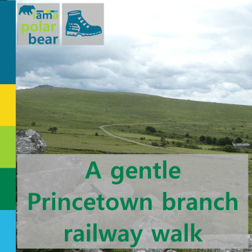 A gentle Princetown branch railway walk | iamapolarbear.com
