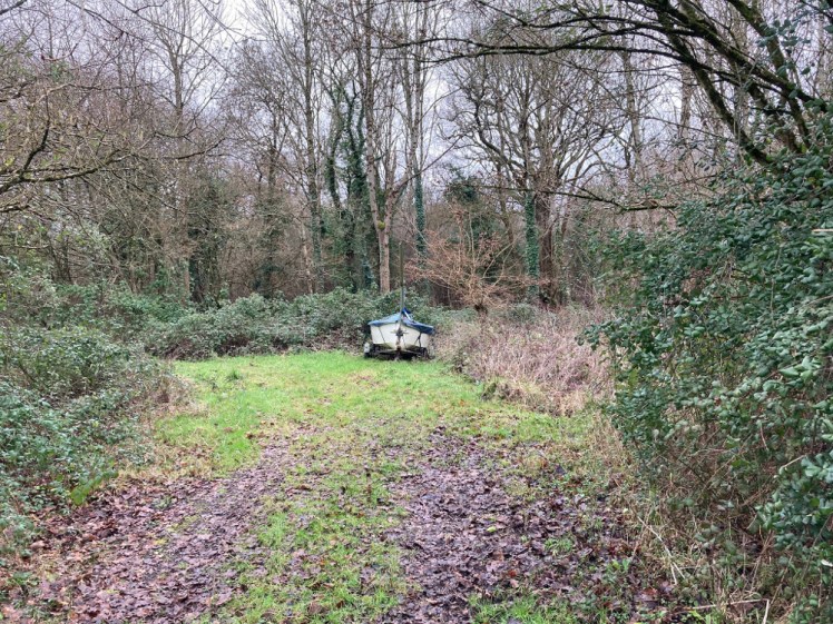 A dinghy hiding in the woods